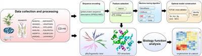 The Characterization of Structure and Prediction for Aquaporin in Tumour Progression by Machine Learning